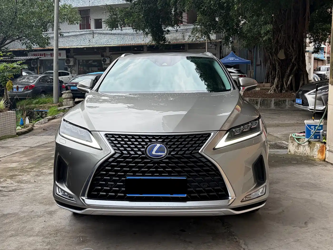 Lexus RX 2020 450h 4WD Elegance Edition China VI фото 2