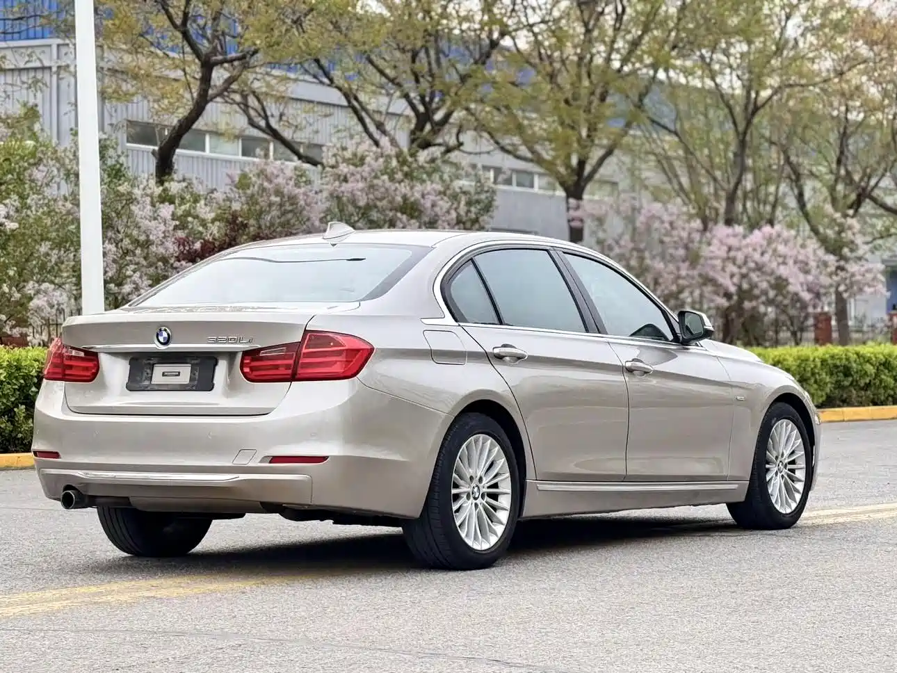 BMW 3 Series 2013 320Li Luxury Design Package фото 26