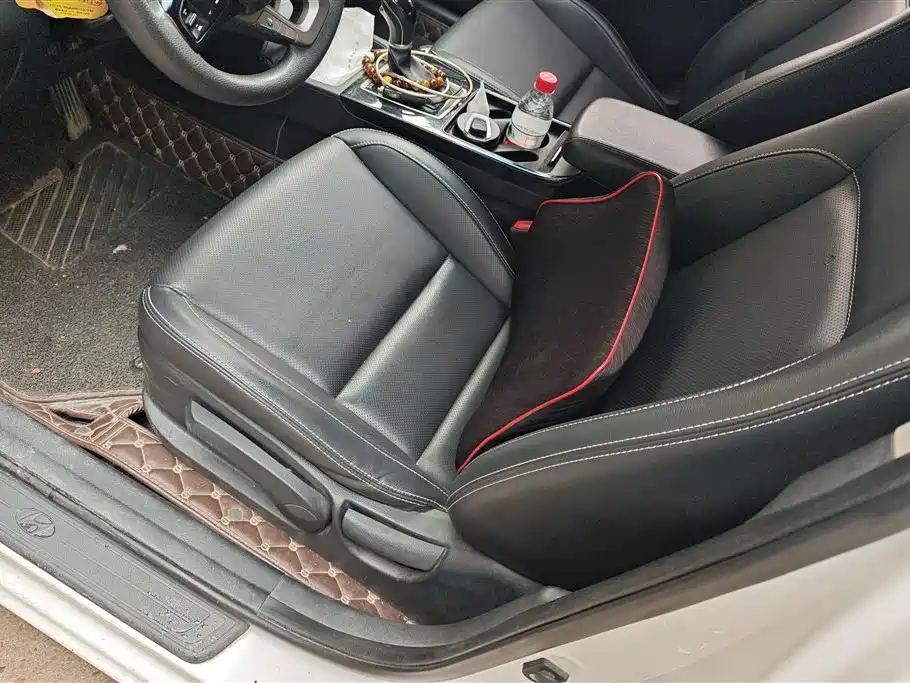 HYUNDAI NAME PICTURE