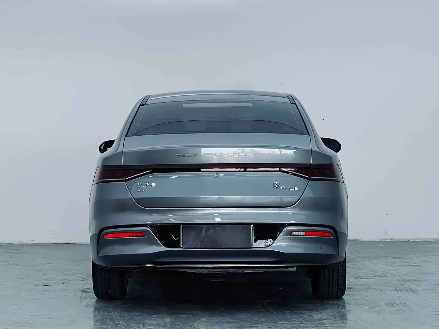 BYD Qin PLUS 2021 EV 400KM Luxury Model фото 8