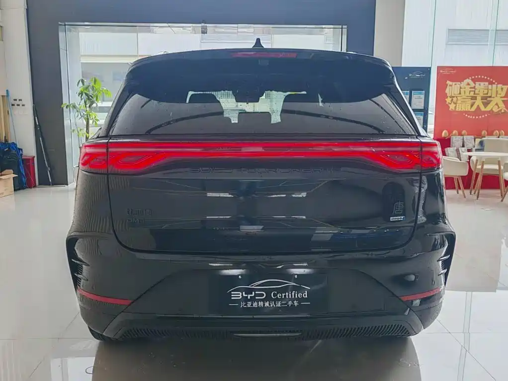 2025 BYD Tang New Energy