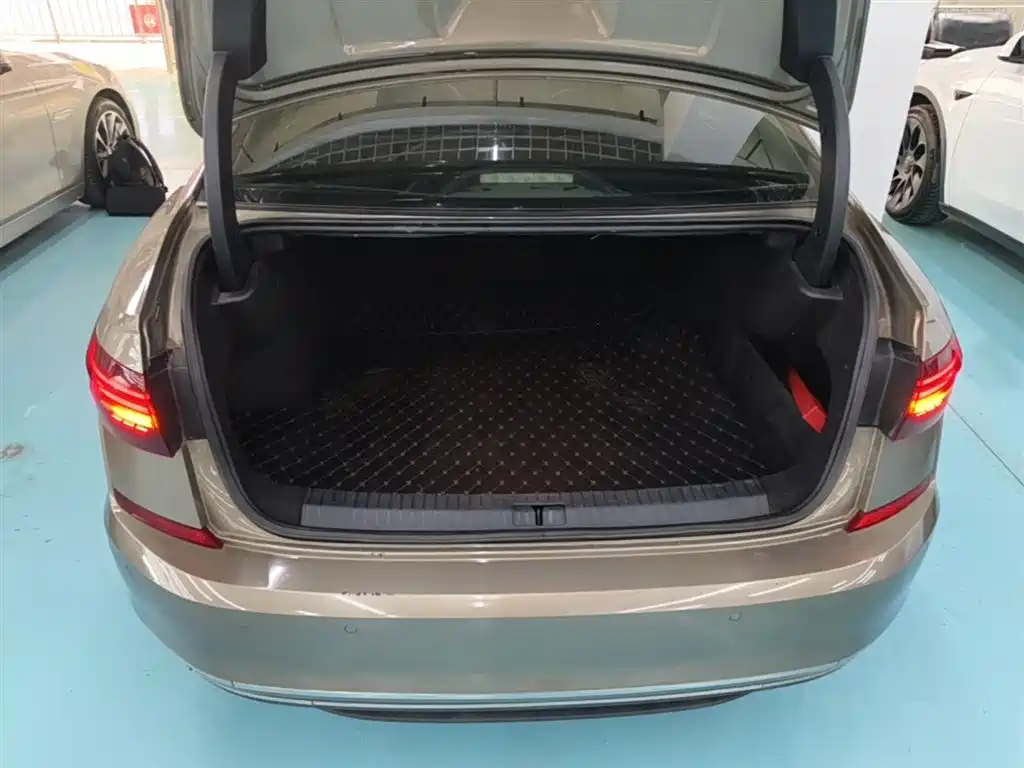 Volkswagen Passat 2019 Model 330TSI Luxury Edition China V фото 19