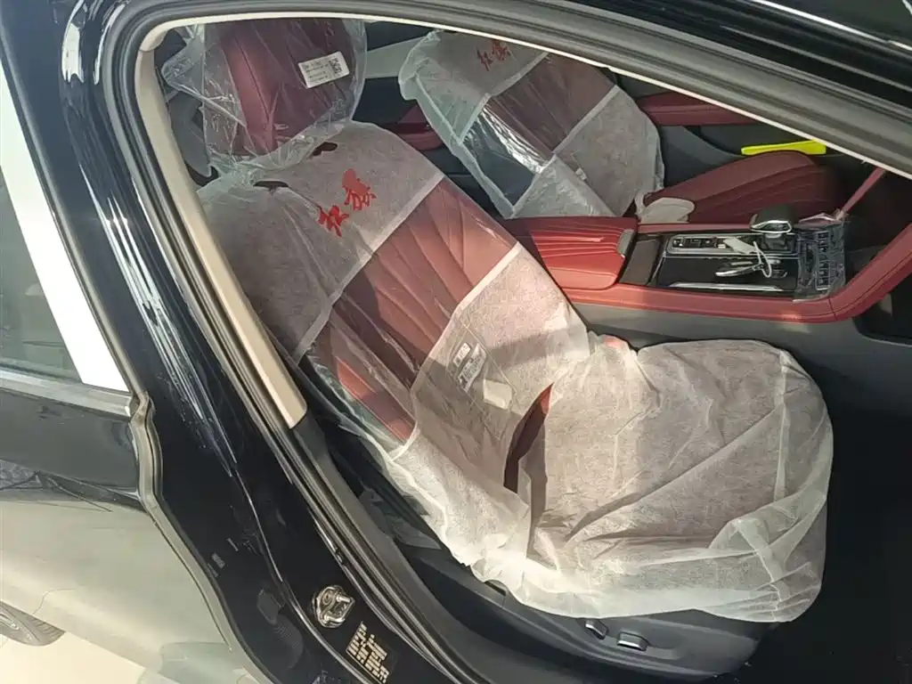 Hongqi H5 2025 2.0T Automatic Flag Celebration 500,000 Units Anniversary Edition фото 25