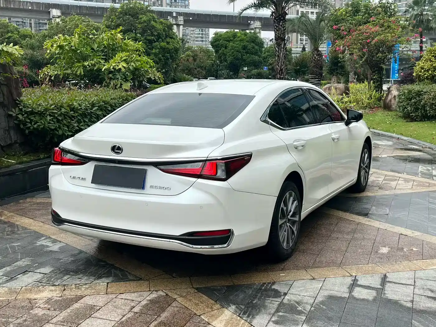 Lexus ES 2024 200 Premium Edition фото 7