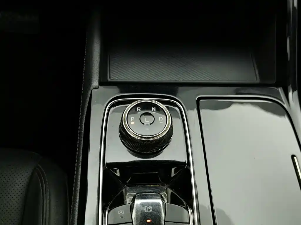 Ford Lingrui 2022 2022 EcoBoost 170 Platinum