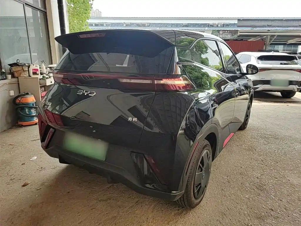 BYD Seagull 2024 Glory Edition 305km Vitality Edition фото 7