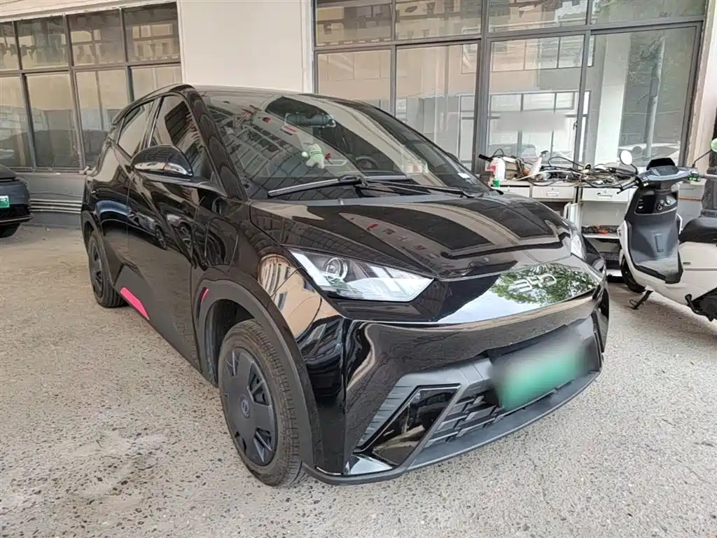 BYD Seagull 2024 Glory Edition 305km Vitality Edition фото 4