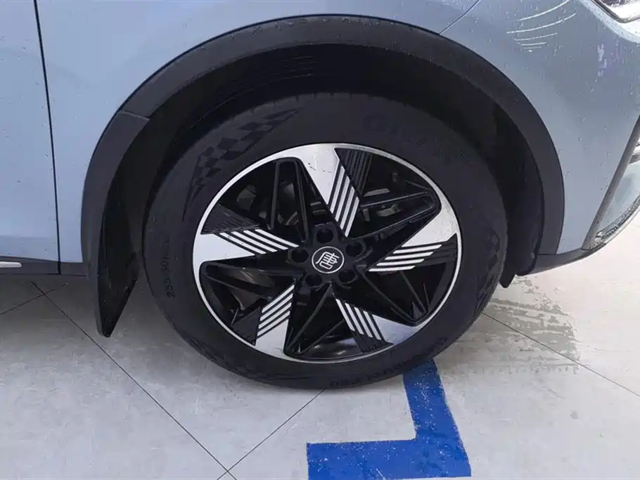 BYD Tang New Energy 2023 Model DM-i Champion Edition 112KM Premium фото 6