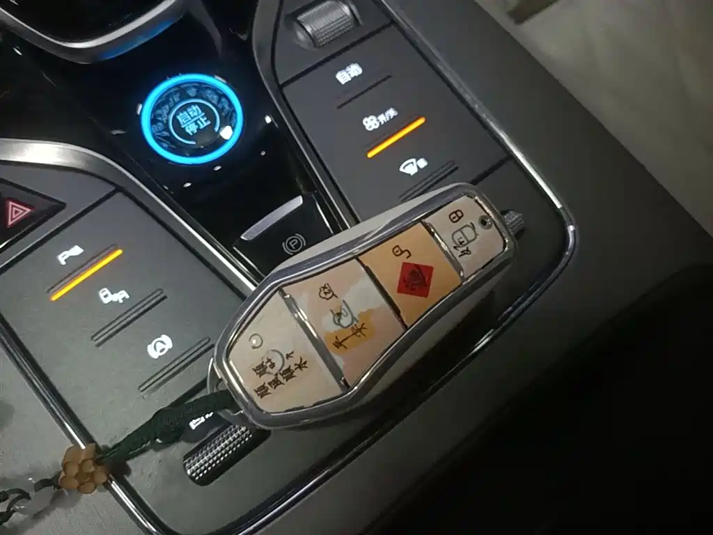 BYD Tang New Energy 2024 EV Glory Edition 600KM Premium фото 9