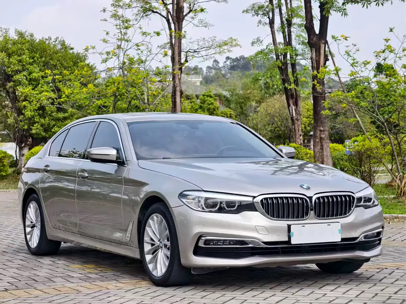 BMW 5 Series 2019 525Li Luxury Package фото 3