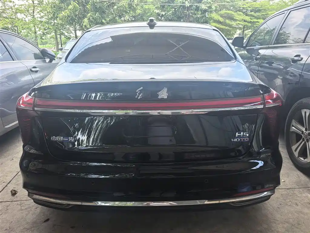 Hongqi H5 2024 2.0T Automatic Smart Connect Flag Smooth Edition фото 22