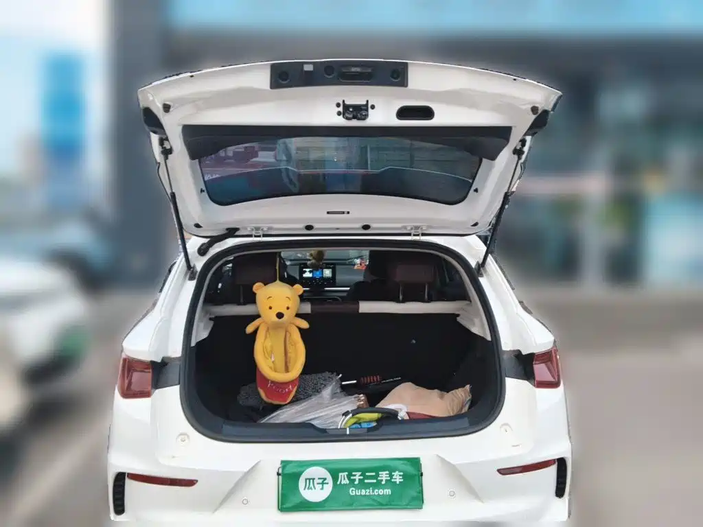 BYD e2 2021 2021 Standard