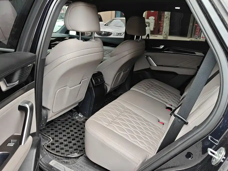 BYD Tang New Energy 2025 2025 Smart Driving Edition DM-i 115KM Honor