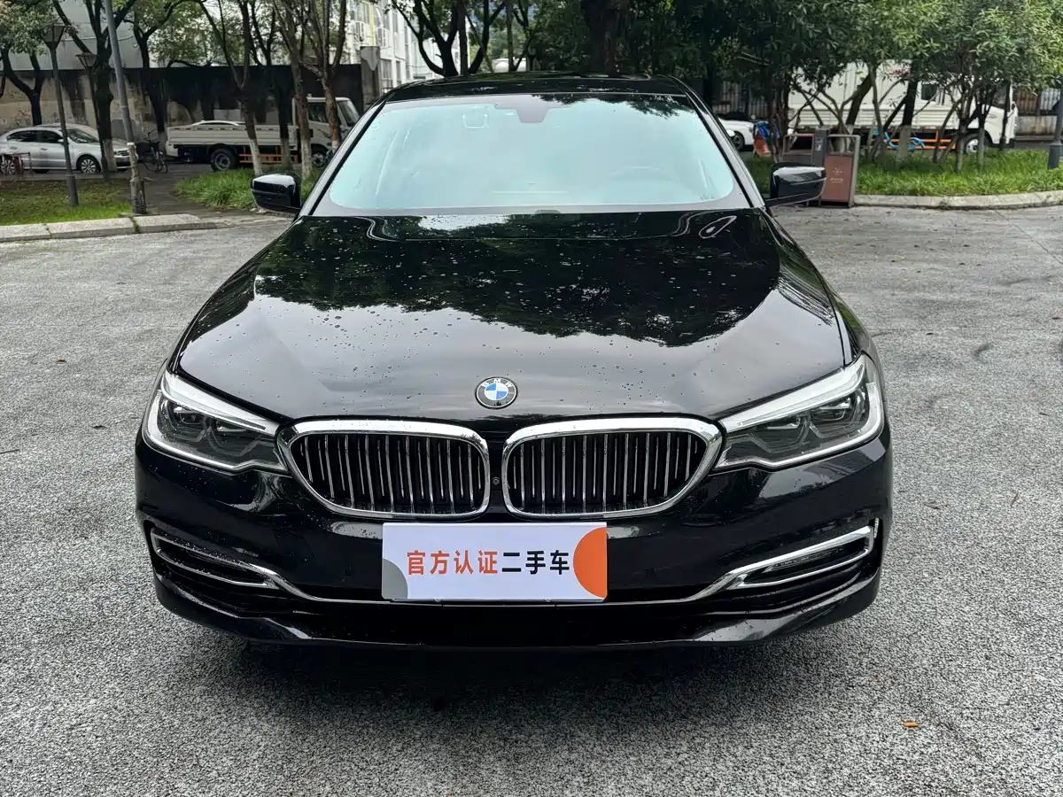BMW 5 Series 2018 Facelift 530Li Exclusive Luxury Package фото 5