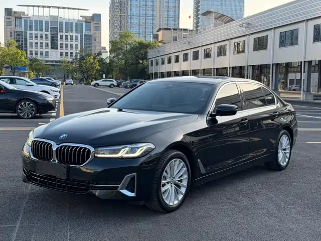 BMW 5 525Li, Люкс-пакет