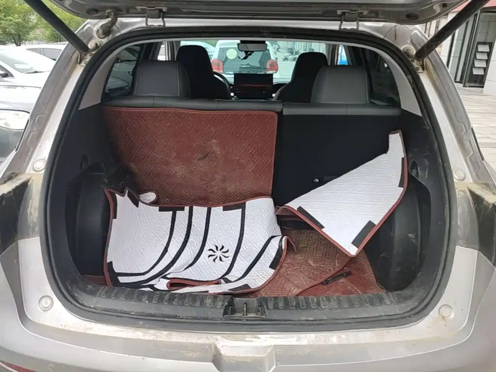 Geely Galaxy Starry Wish 2026 2026 Edition 410km Freedom Version