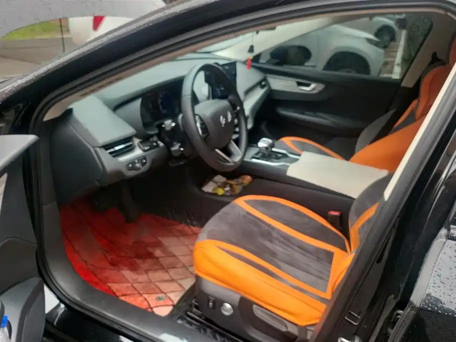 Hongqi E-QM5 2023 620km PLUS фото 9