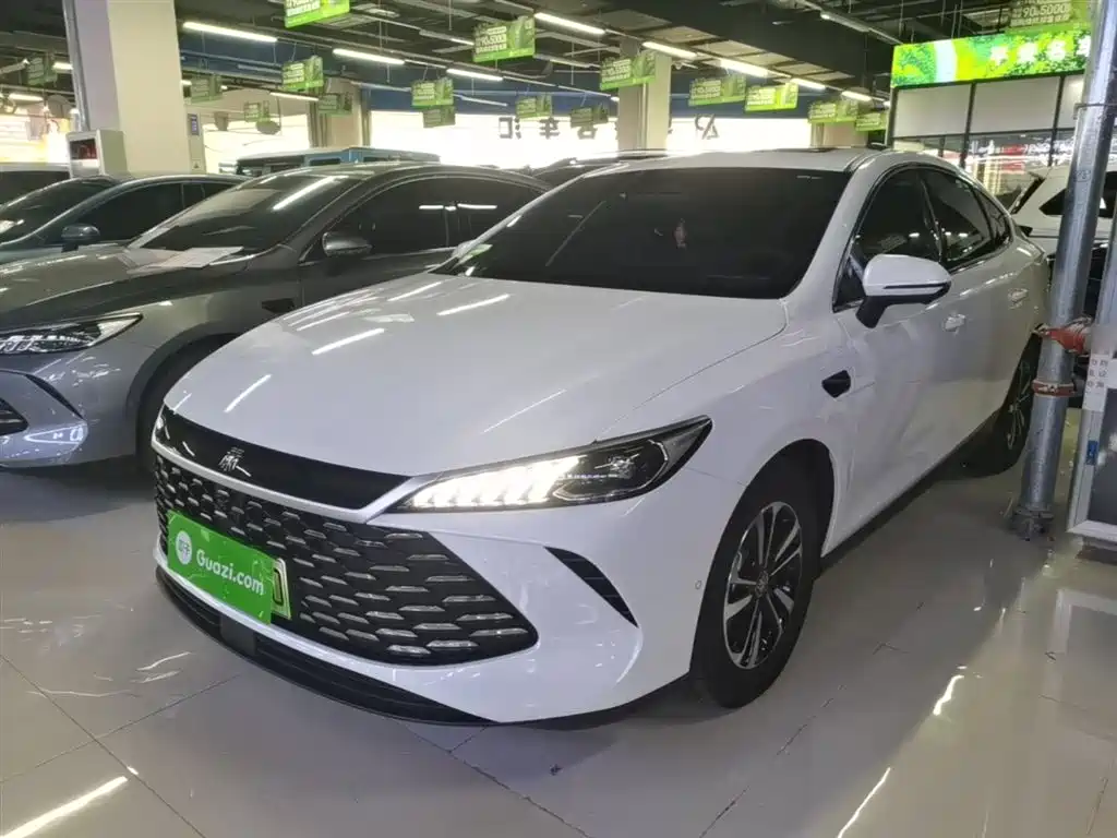 BYD Qin PLUS 2025 DM-i Smart Drive Edition 55KM Surpassing Type фото 2