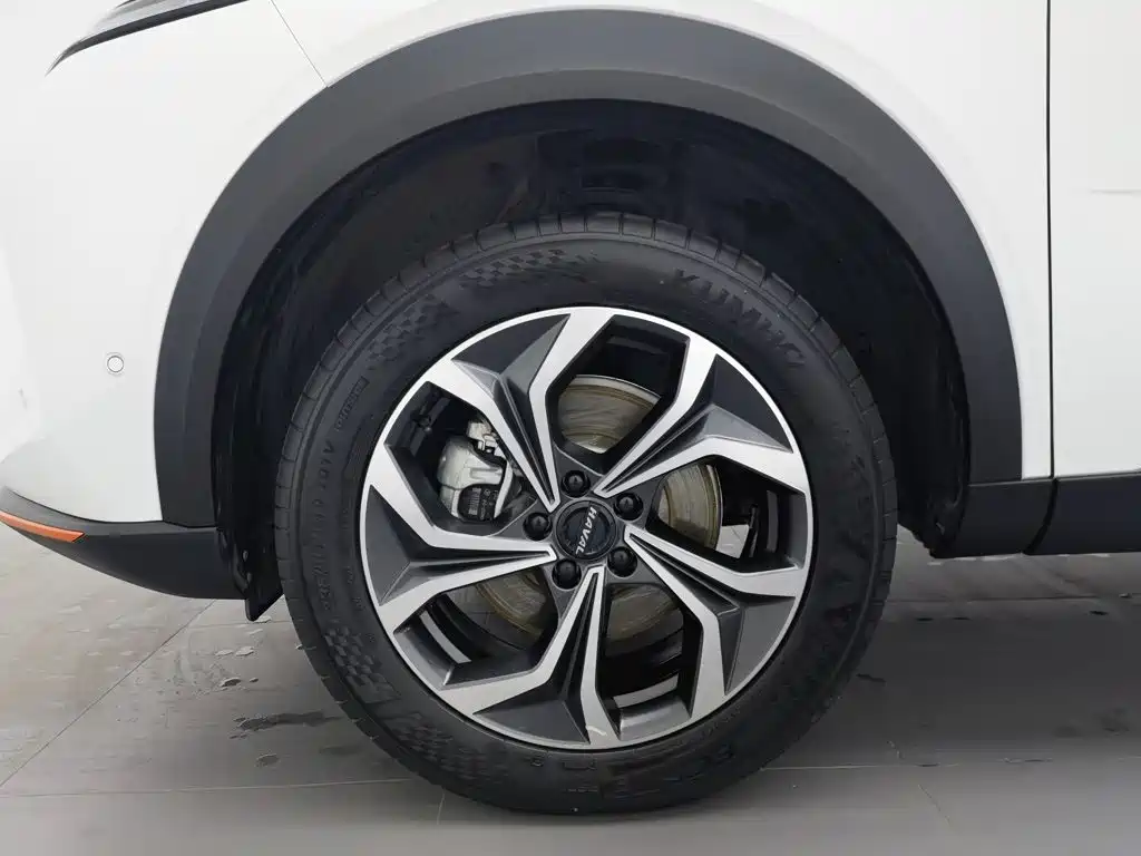 Haval Shenshou 2025 2023 1.5T Smart Premium Edition