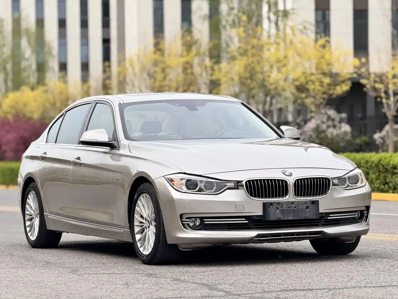 BMW 3 Series 2013 320Li Luxury Design Package фото 2