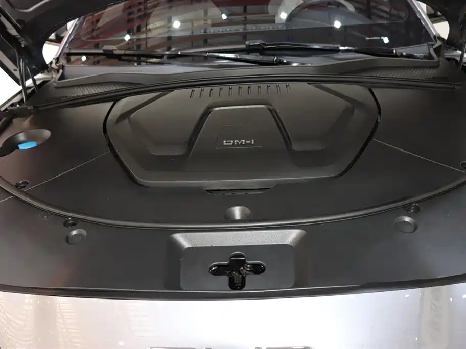 BYD SONGJIANG NEW ENERGY