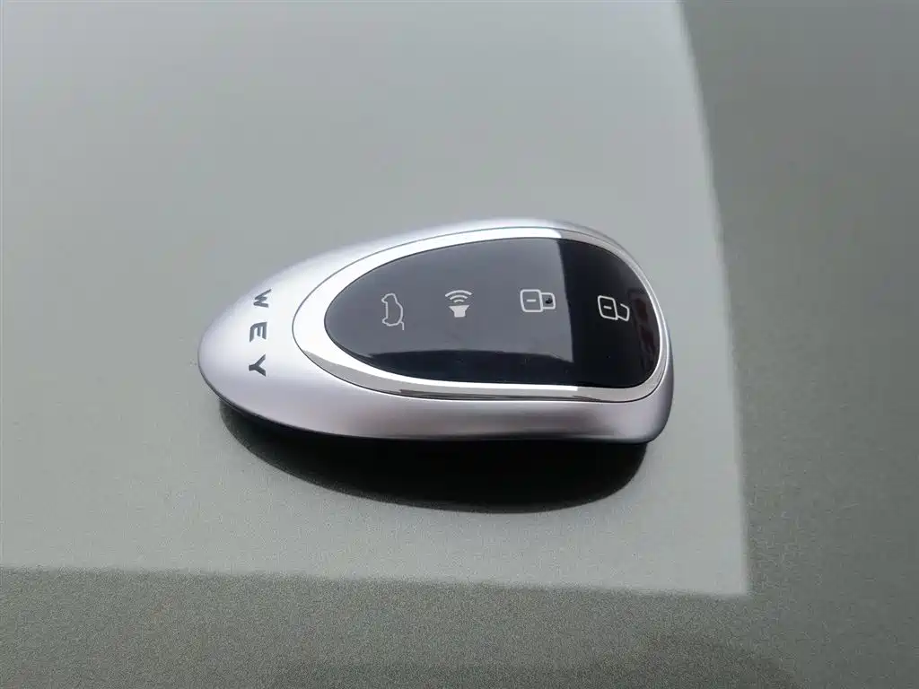 WEI PAI WEI BRAND BLUE MOUNTAIN