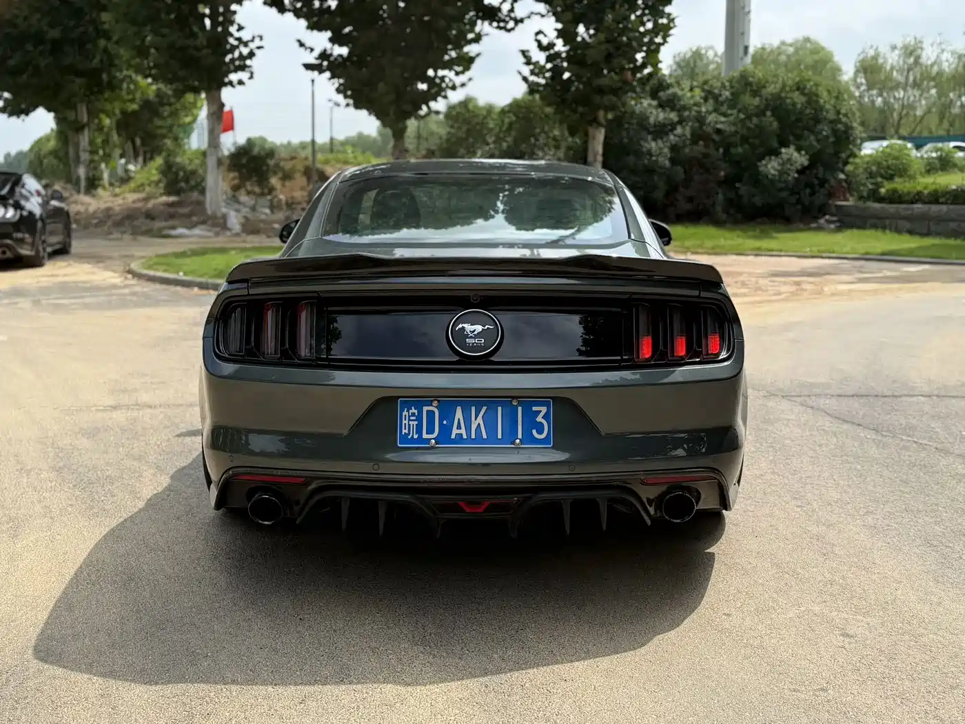 Ford Mustang 2015 2015 2.3T 50th Anniversary Edition
