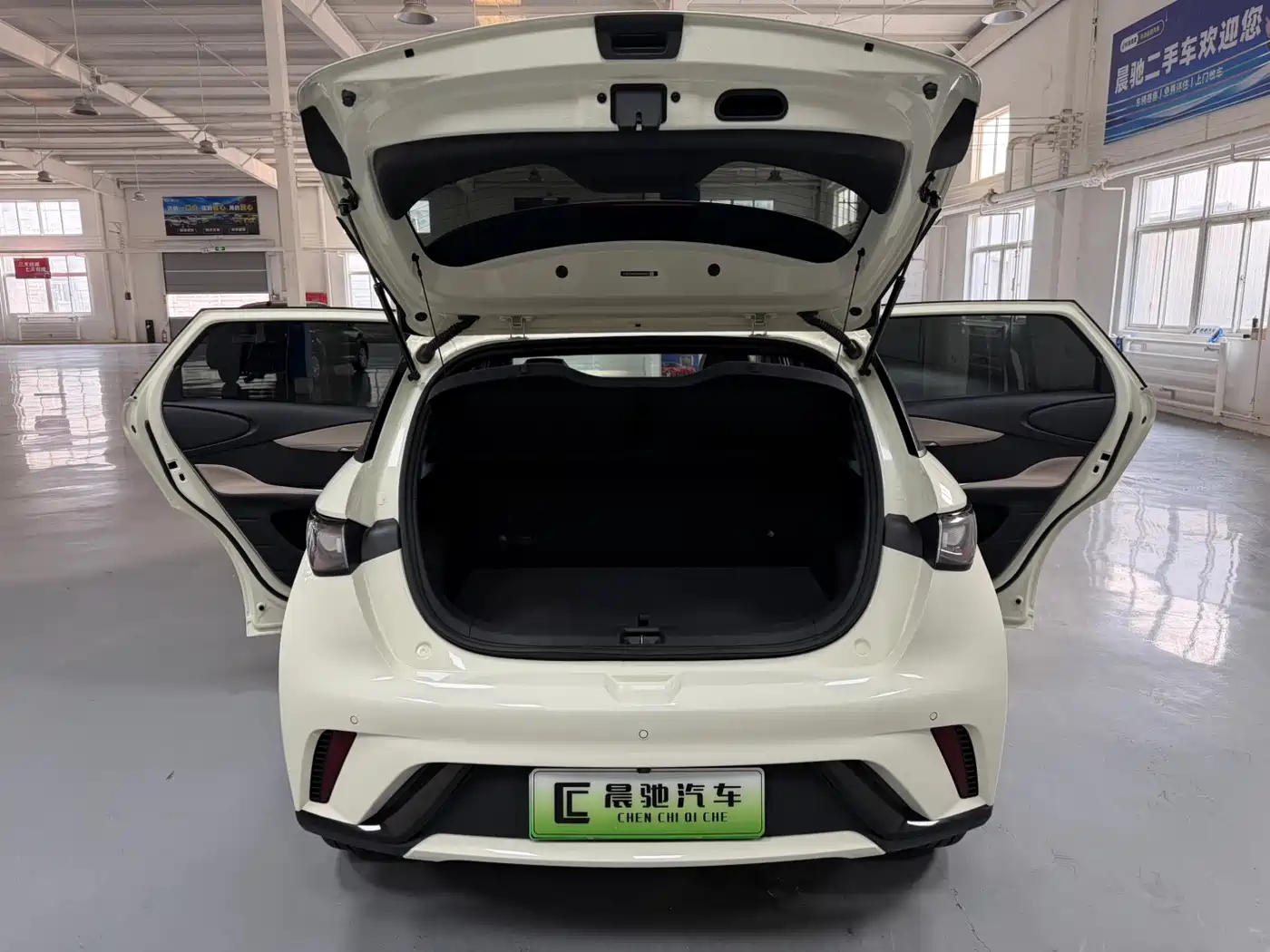 BYD Dolphin 2024 Glory Edition 420km Fashion Edition фото 16