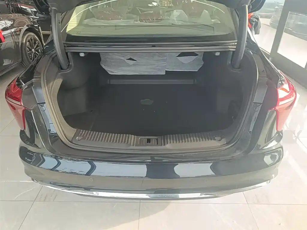 Hongqi H5 2025 2.0T Automatic Flag Celebration 500,000 Units Anniversary Edition фото 19