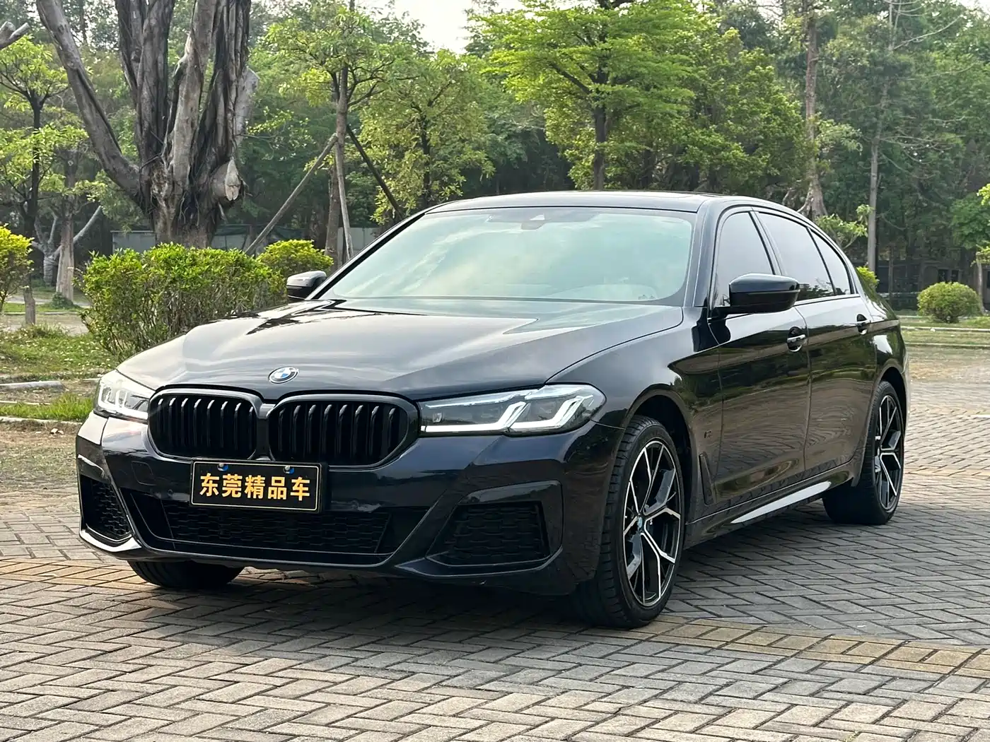 BMW 5 Series 2021 530Li Leading M Sport Package фото 3
