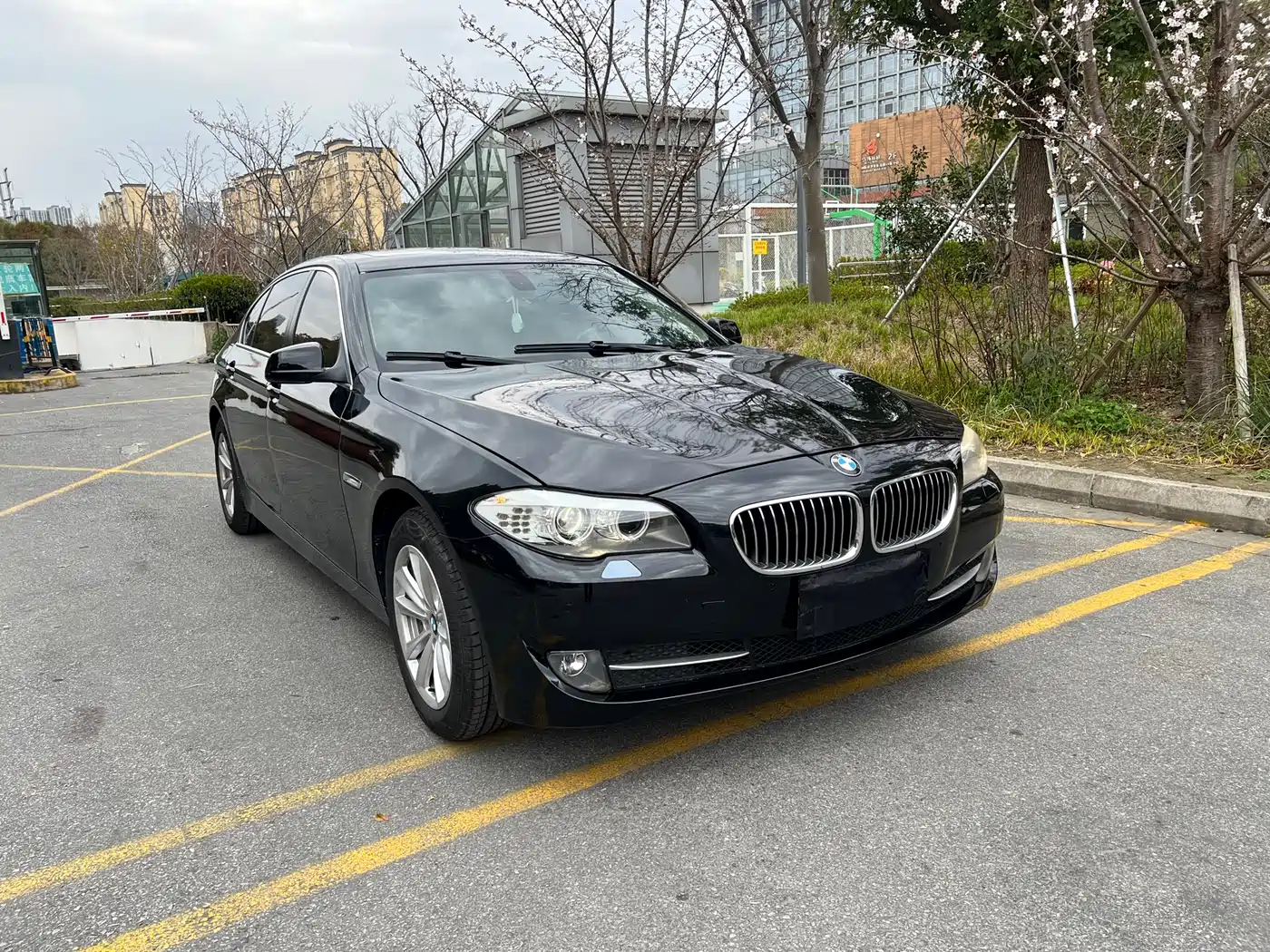 BMW 5 Series 2012 520Li Elegance фото 3