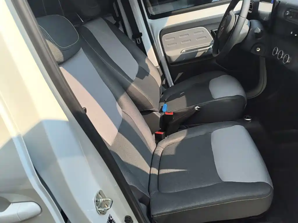 Wuling Motors Wuling Zhiguang NEV 2026 2025 Model 305km Base Version
