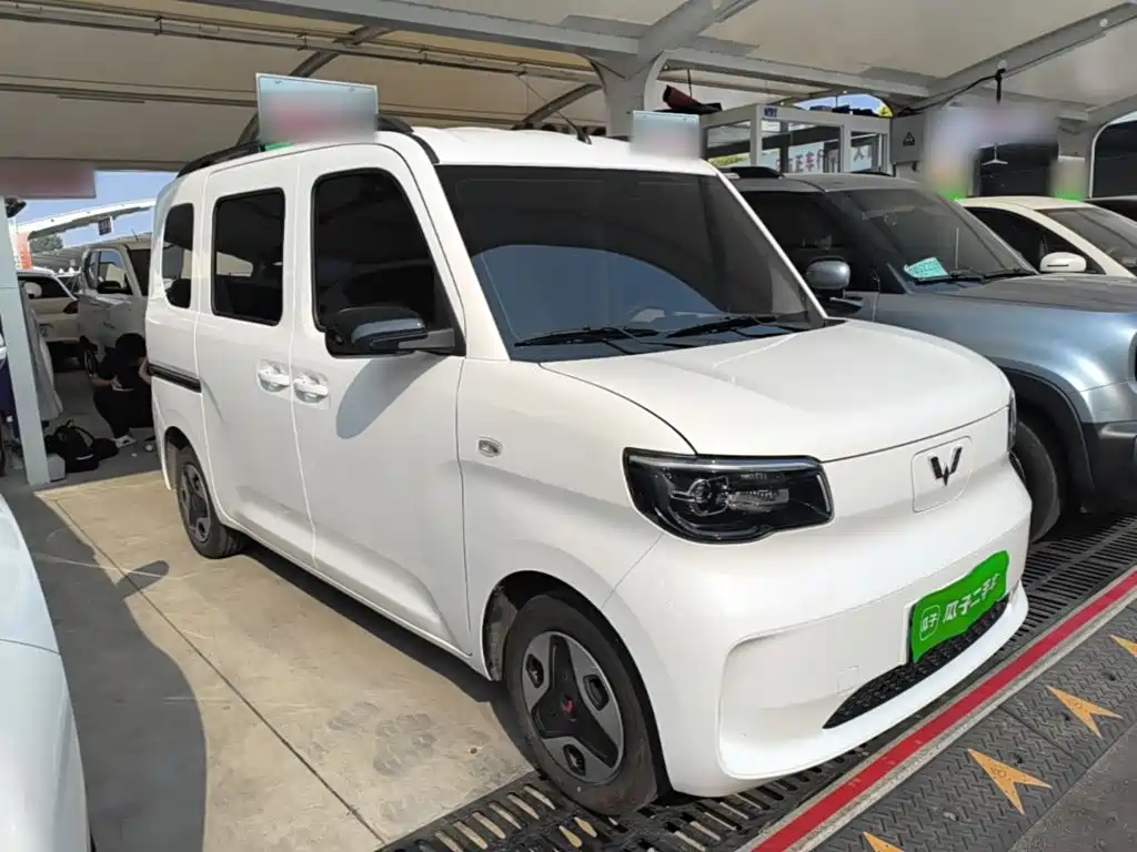 Wuling Motors Wuling Zhiguang NEV 2026 2025 Model 305km Base Version