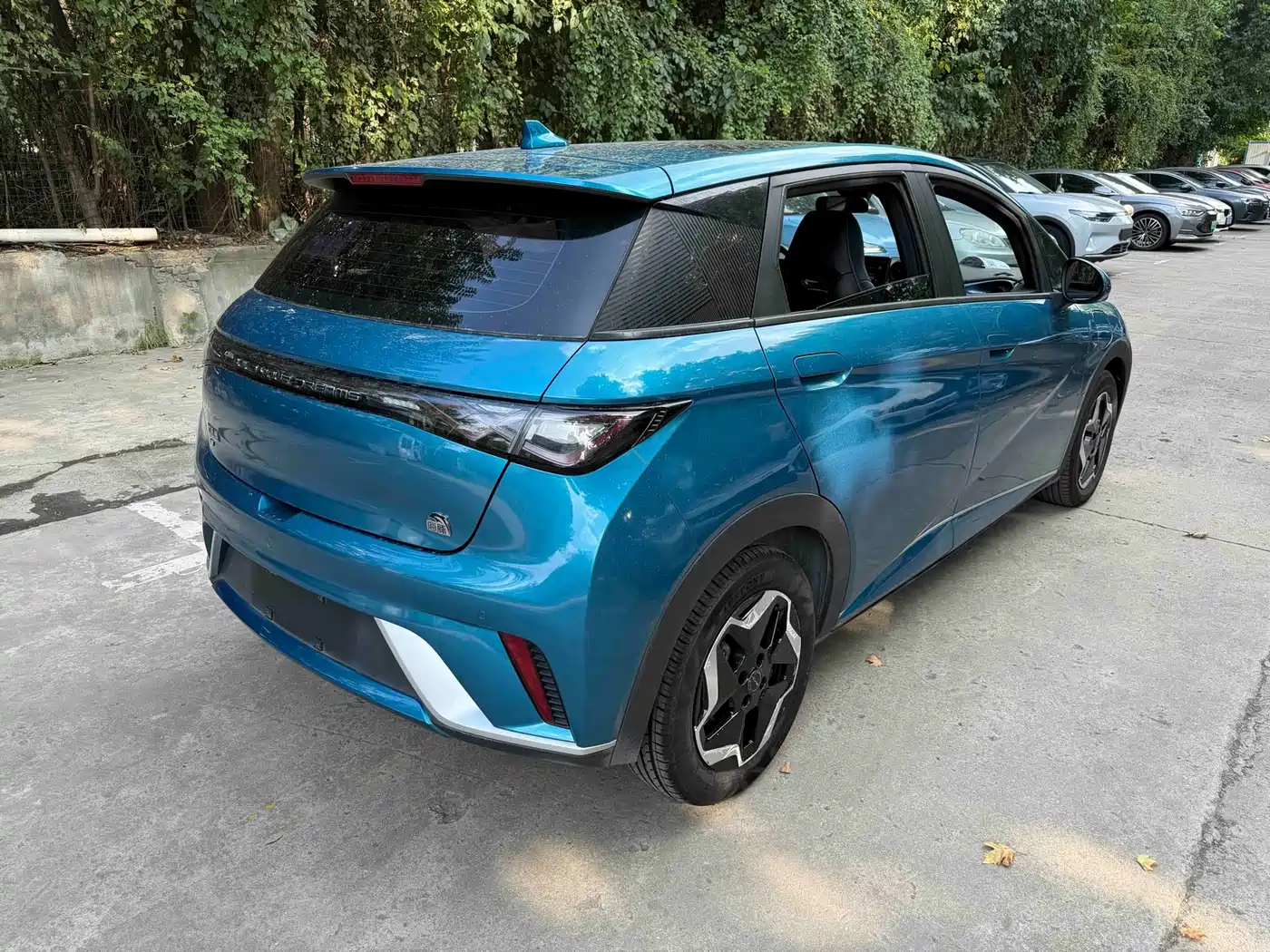 BYD Dolphin 2022 2021 Model 405km Fashion Edition