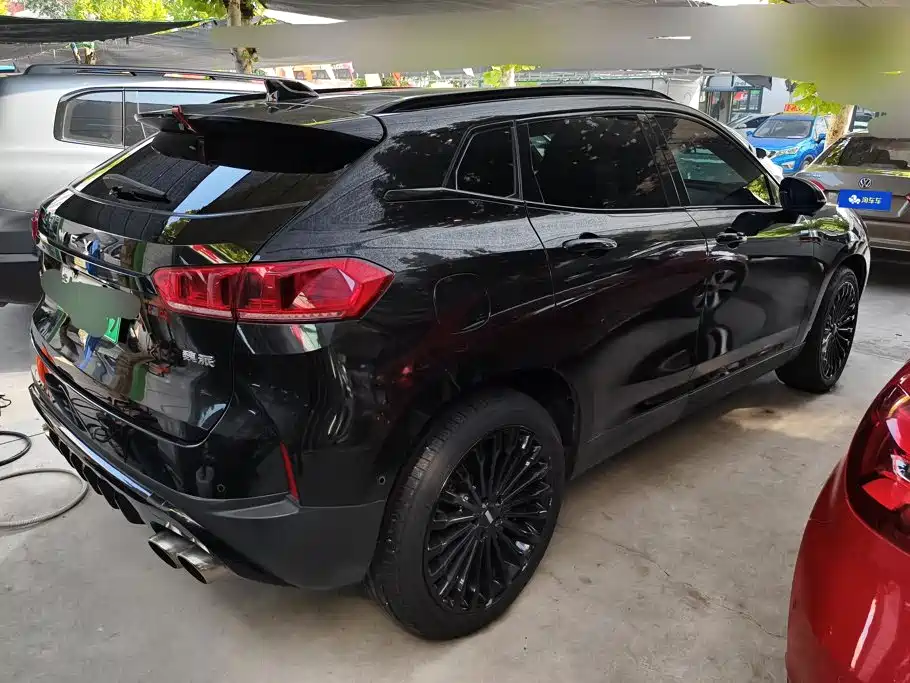 WEY P8 2019 2018 2.0T Flagship Model