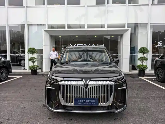 Voyah Auto Voyah Dreamer 2024