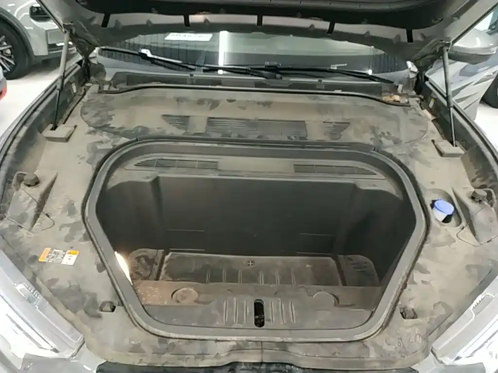 Ford Mustang Mach-E 2022 2021 Leap World RWD (Standard Range)