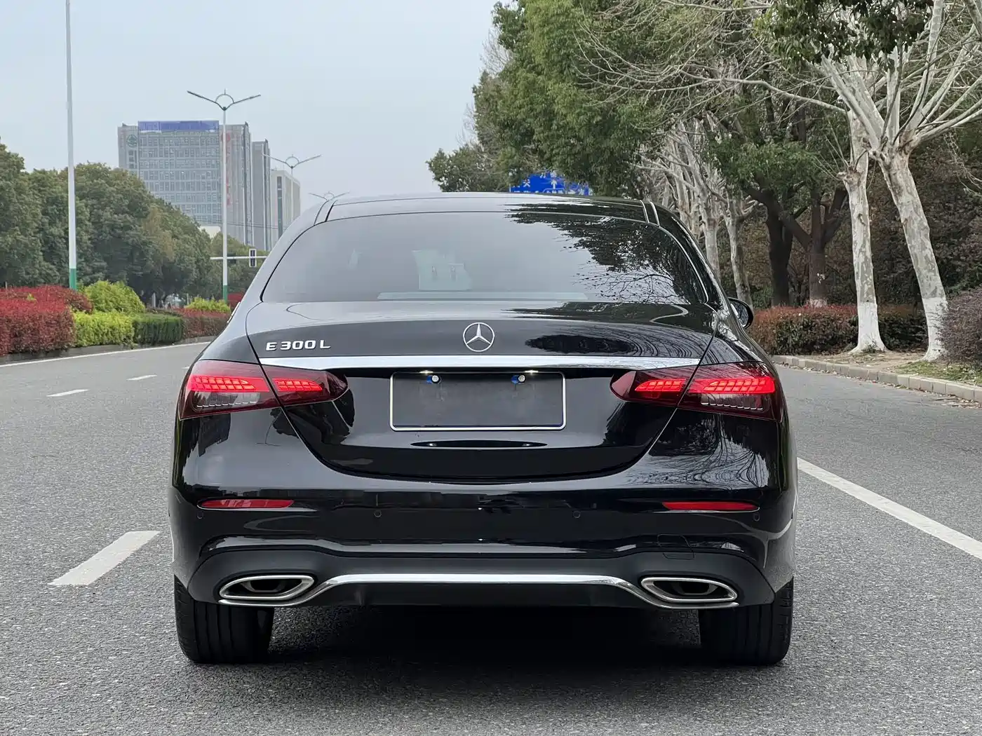 Mercedes-Benz E-Class 2023 E 300 L Sport Luxury фото 4