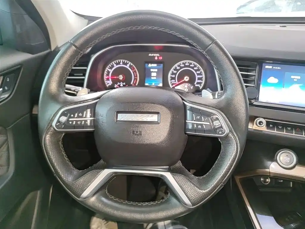 Haval H6 2020 2.0GDIT Automatic Platinum Champion Edition фото 11
