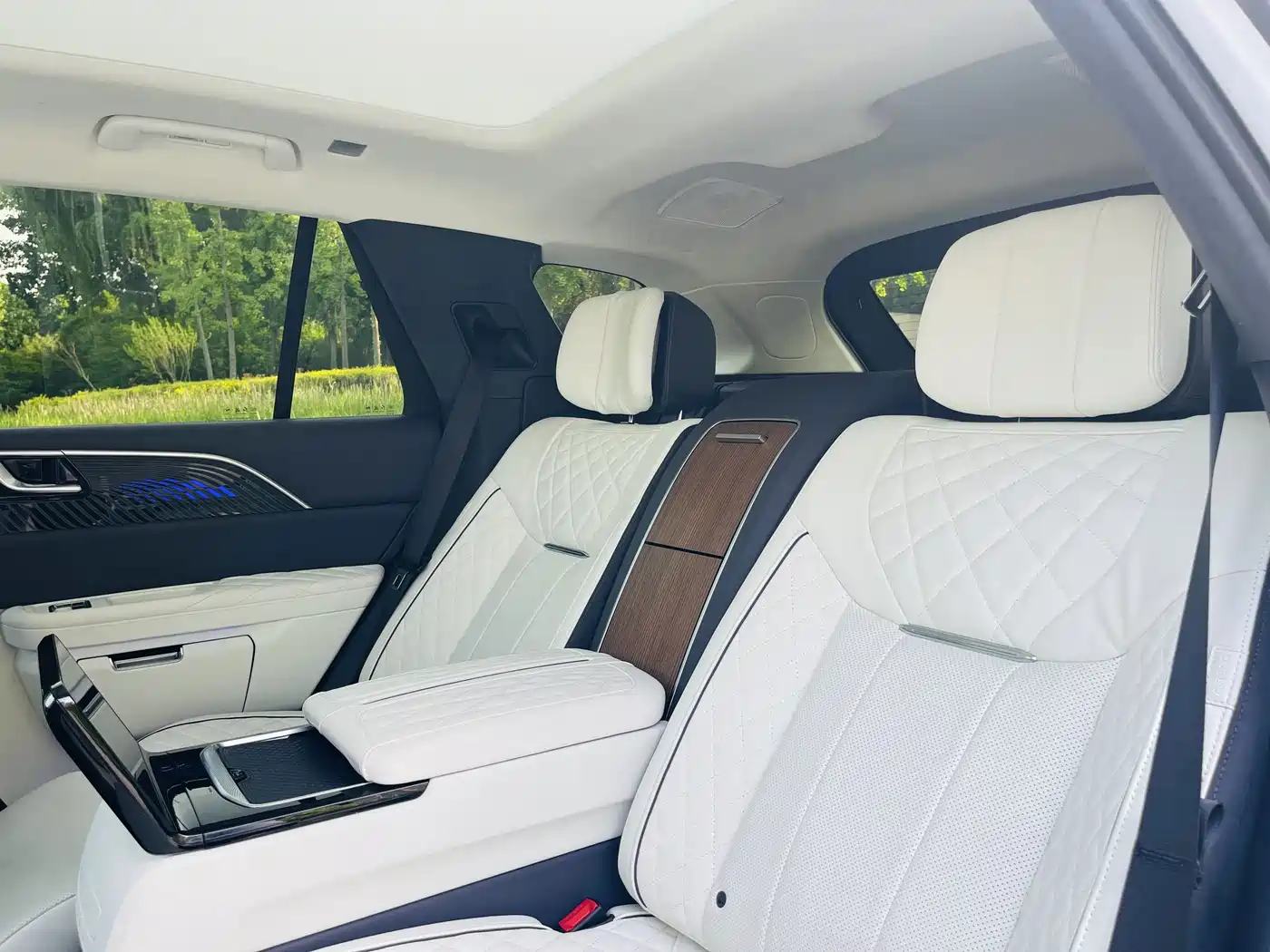 Hongqi E-HS9 2022 660km Qi Ling Edition (4-seater) фото 19