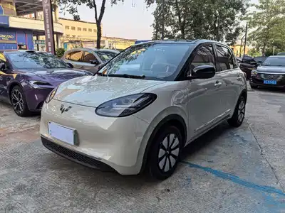 Wuling Bingo