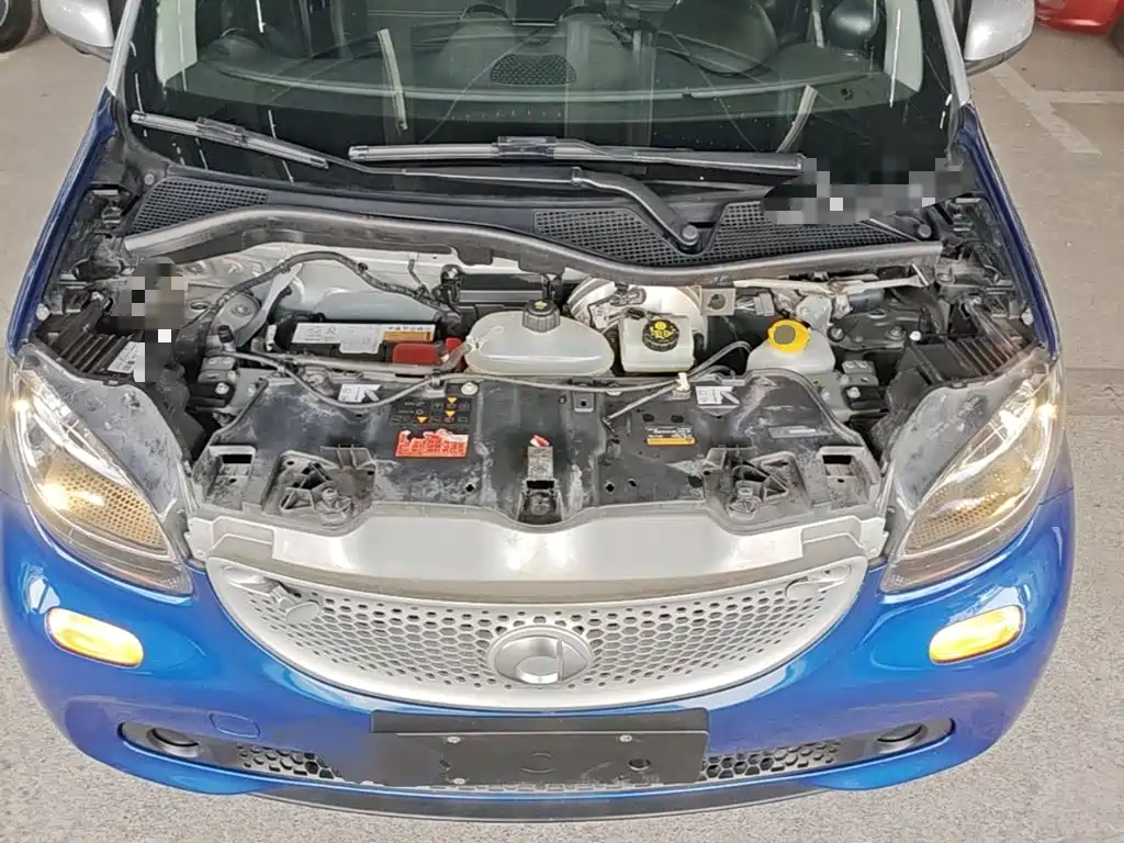 Фото 20 - smart forfour