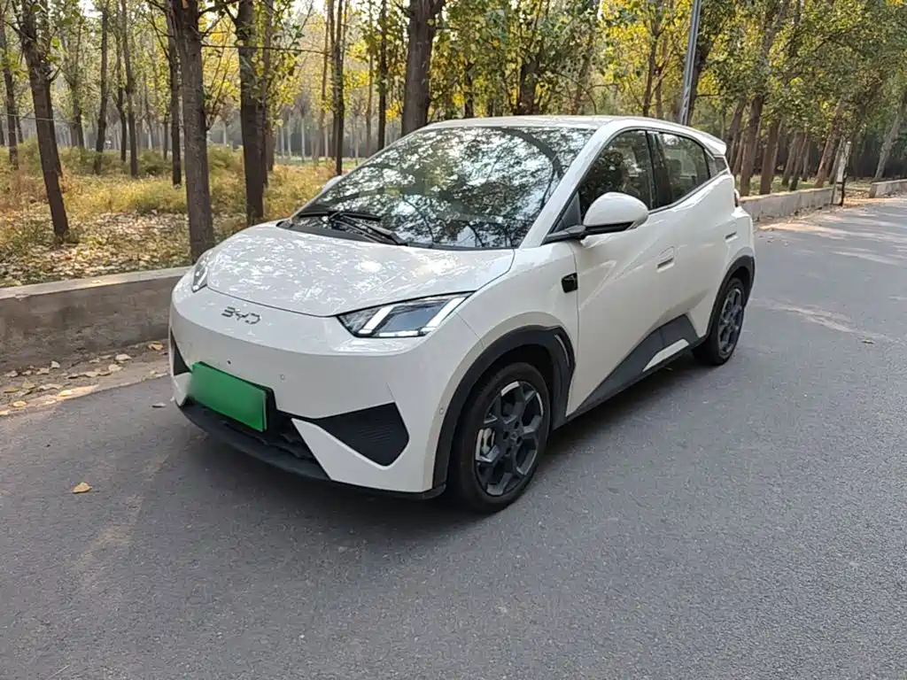 BYD Seagull 2026 2025 Smart Drive Edition 305km Freedom Version