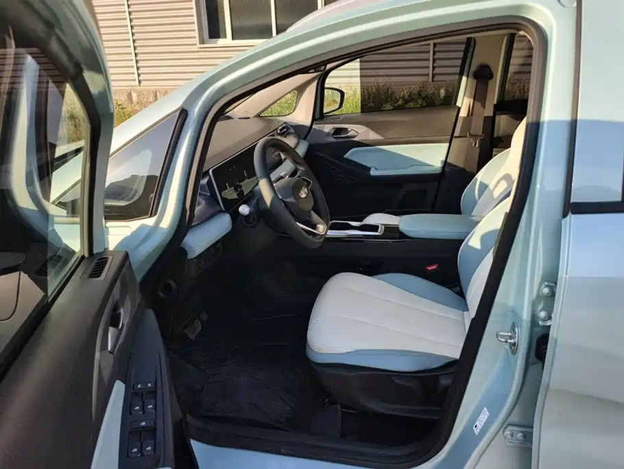 Geely Geometry E Firefly 2024 2024 Model 301km Starlight