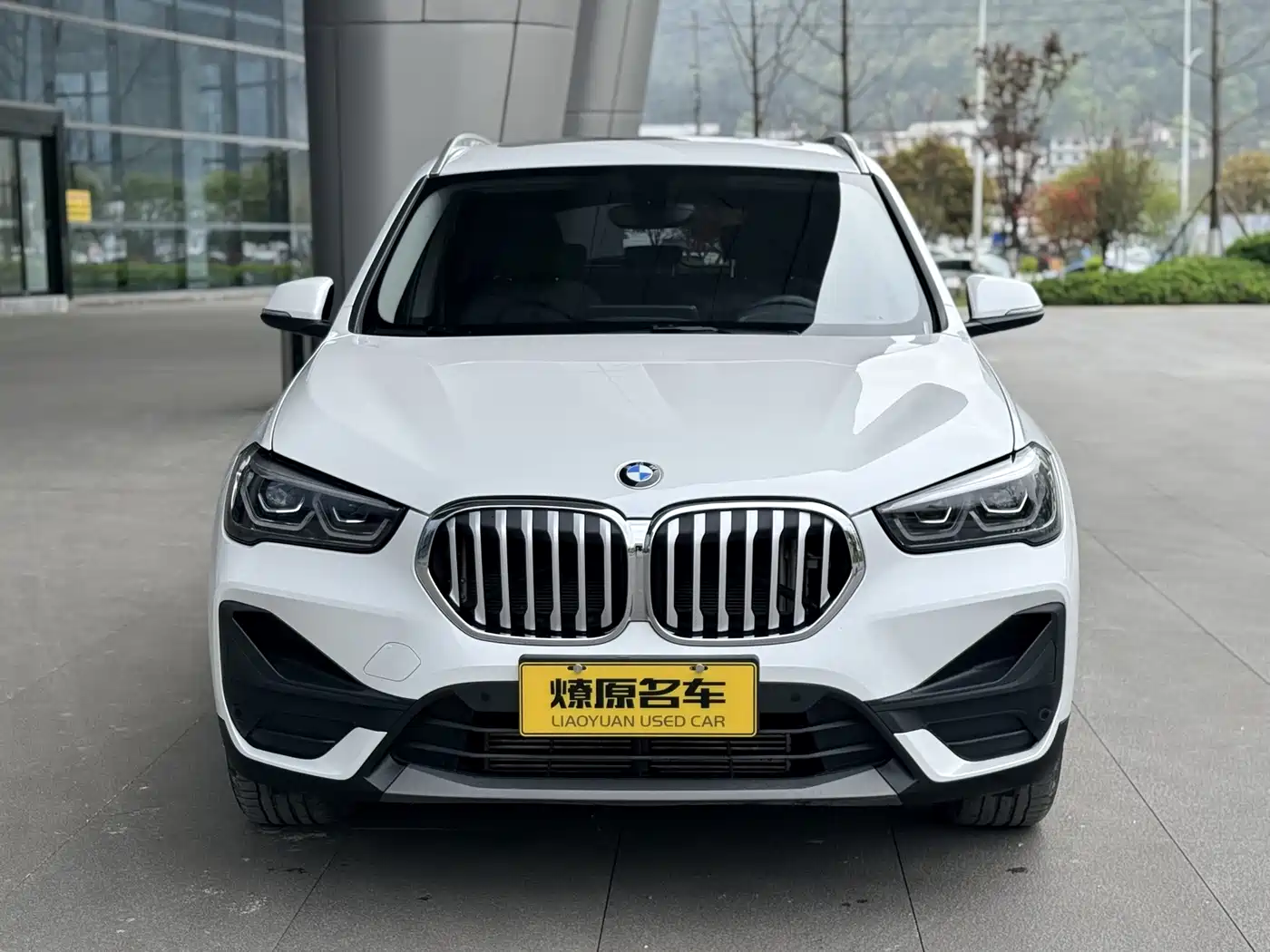 BMW X1 2022 sDrive25Li Leading фото 2