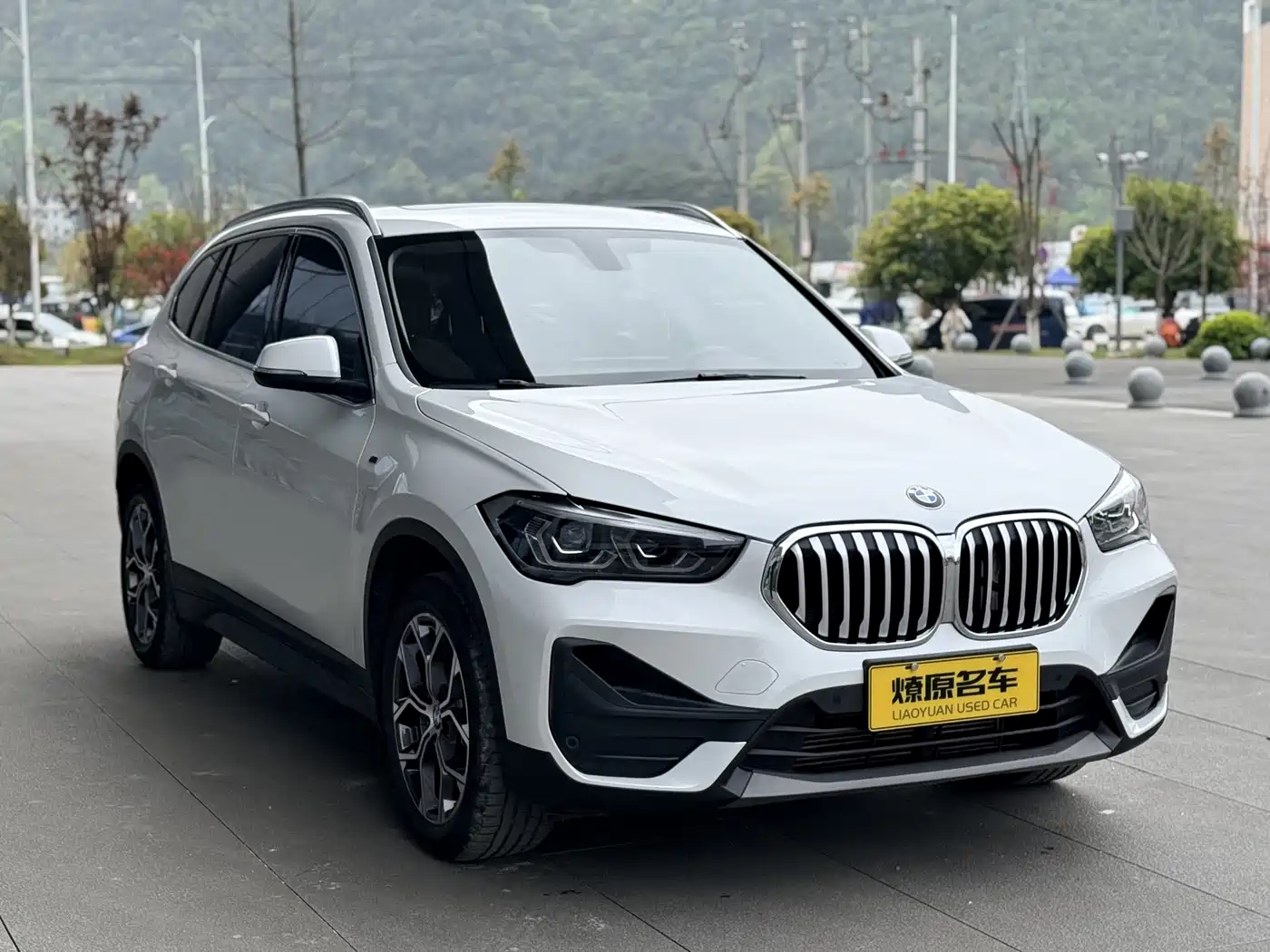 BMW X1 2022 sDrive25Li Leading фото 3