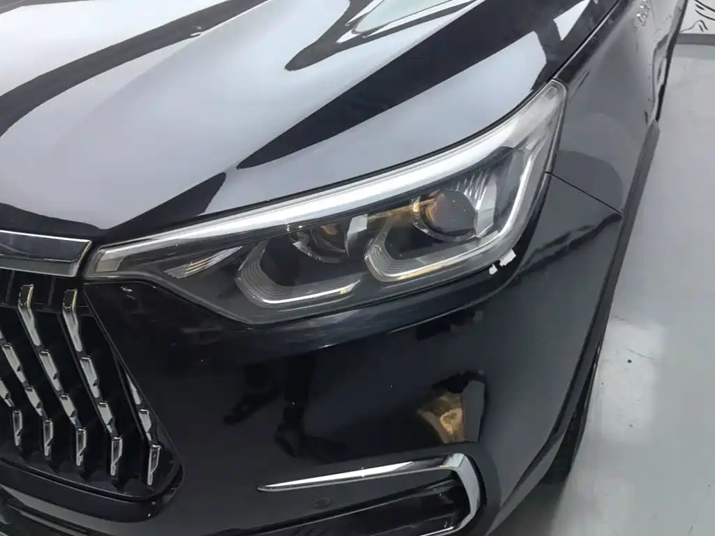 Leopaard Mattu 2019 2018 1.6T GDI DCT Luxury