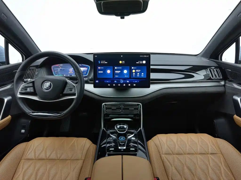 Photo 5 - BYD Tang New Energy
