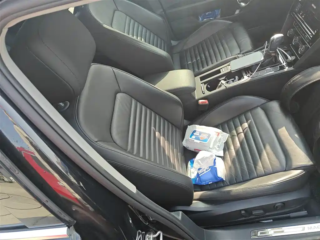 Volkswagen Magotan 2019 330TSI DSG Luxury China V фото 20