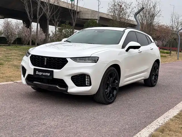 WEI PAI WEI BRAND VV7